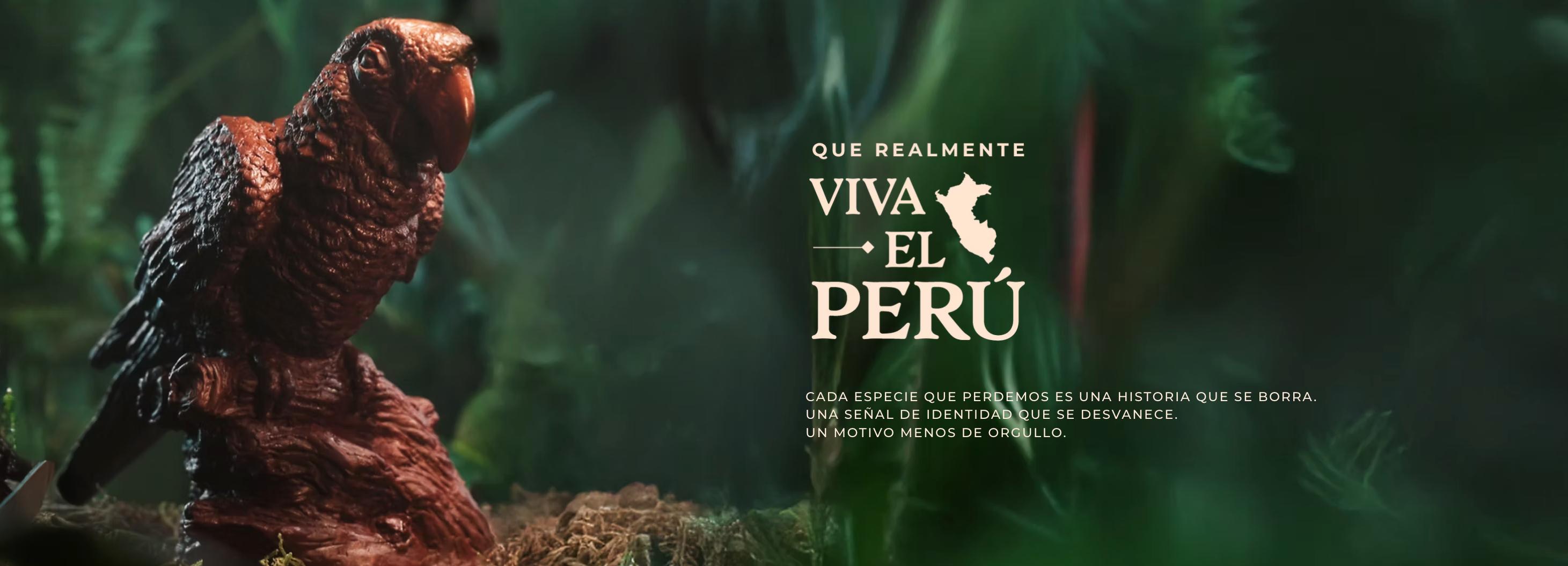 Que Realmente Viva El Perú, acción junto a Rainforest Alliance